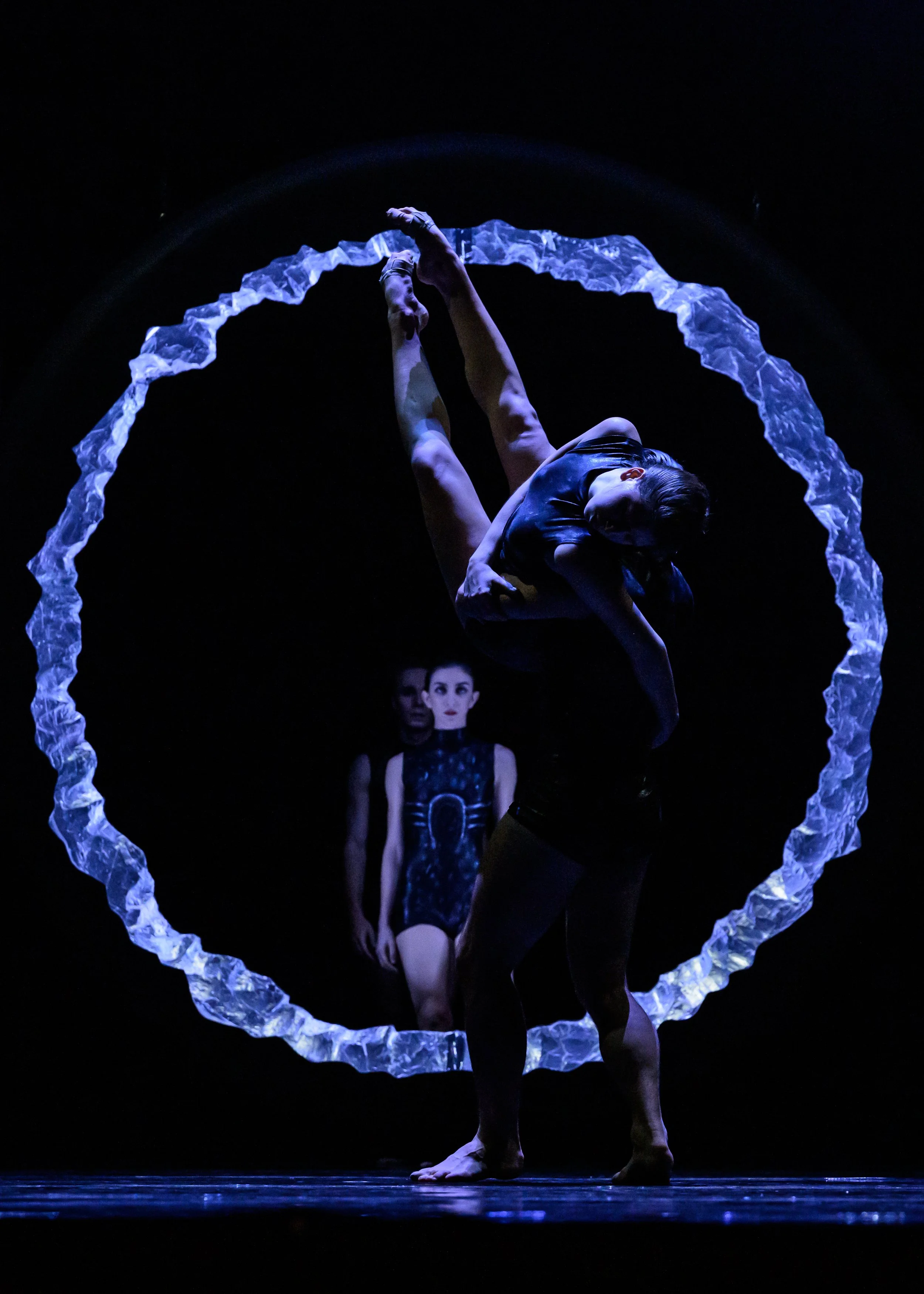 Firebird / Rite of Spring