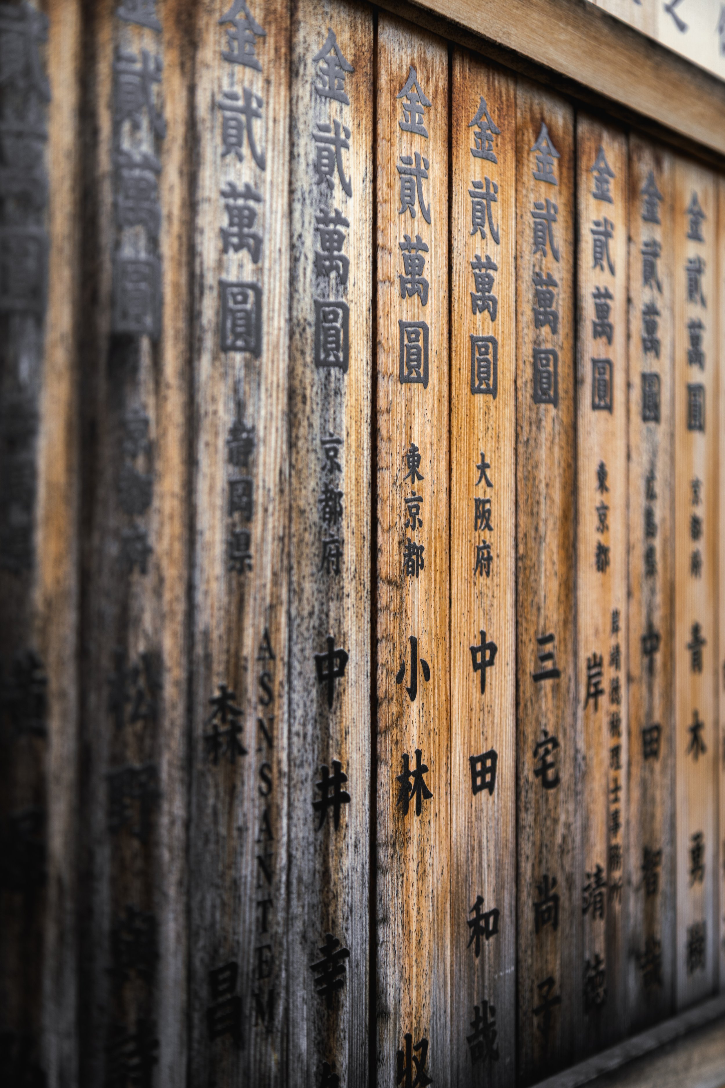 Vertical Script.jpg