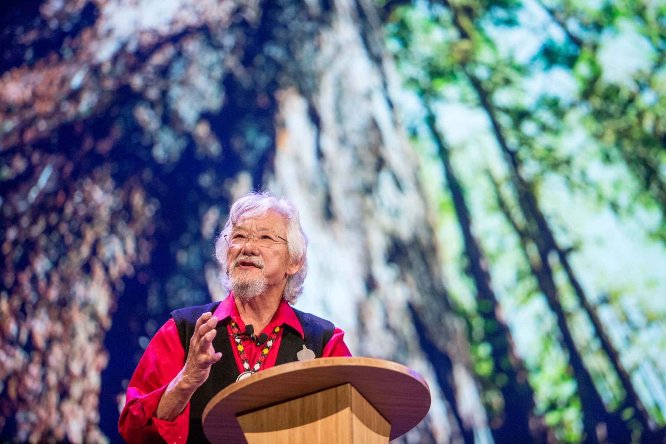 David-Suzuki-Nature-of-Things-2200x1467.jpg
