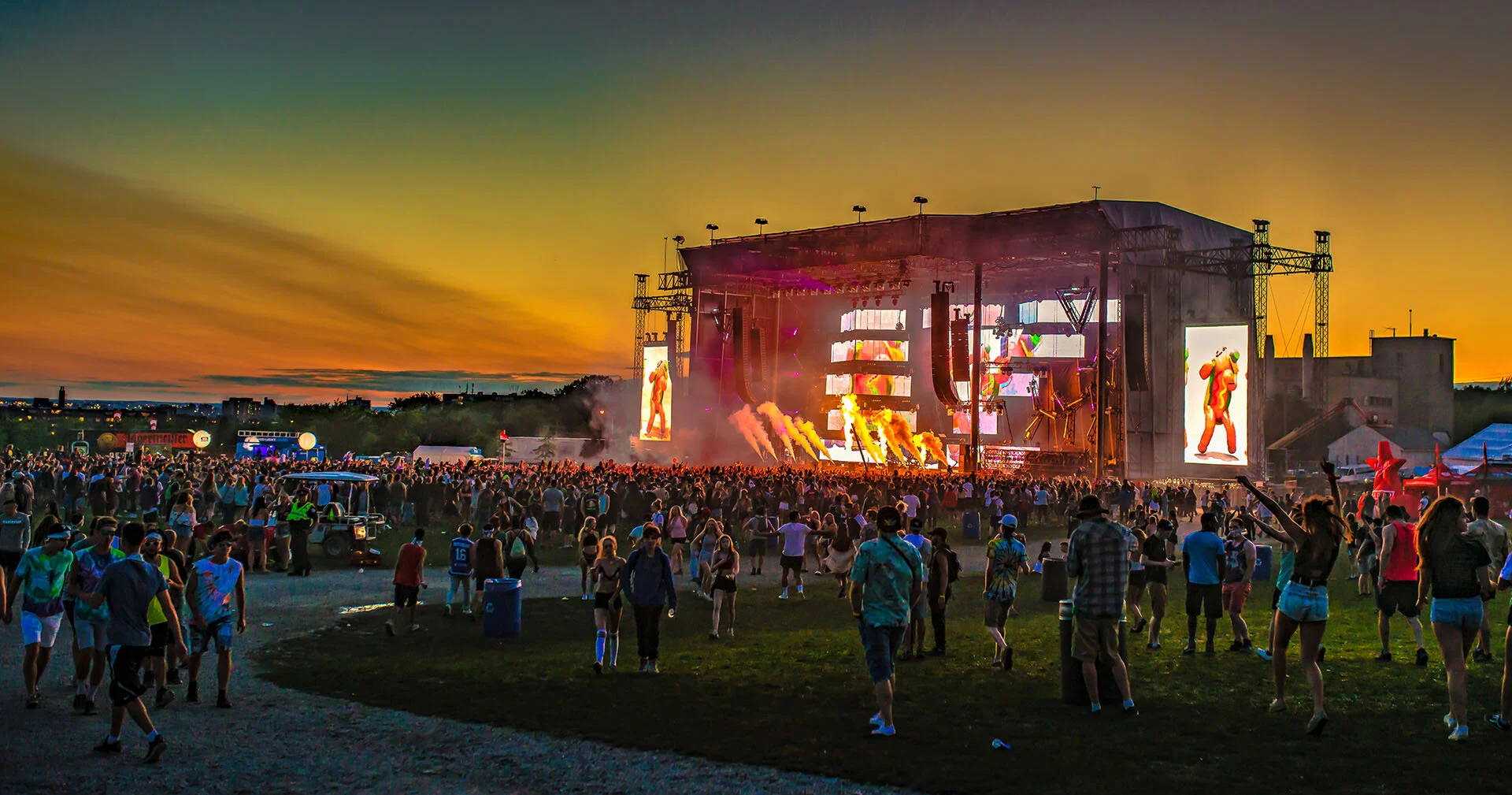 Veld 2017 (6).jpg