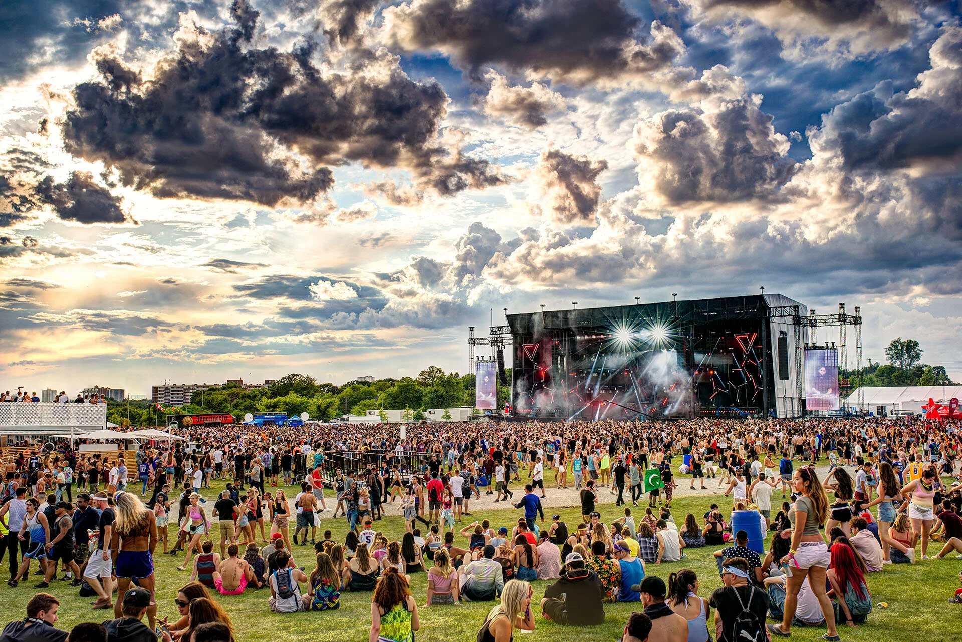 Veld 2017 (8).jpg