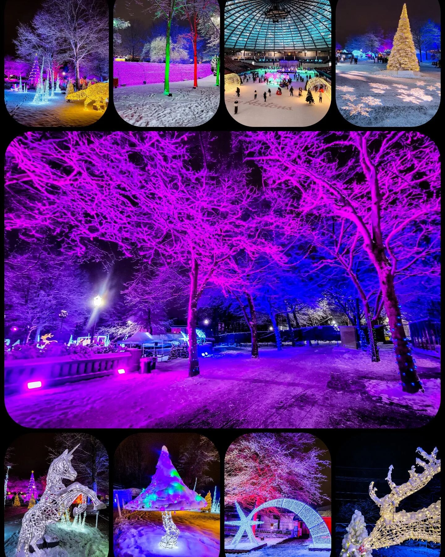Magical night at the PNE Winter Fair!  What a fun project to be part of.