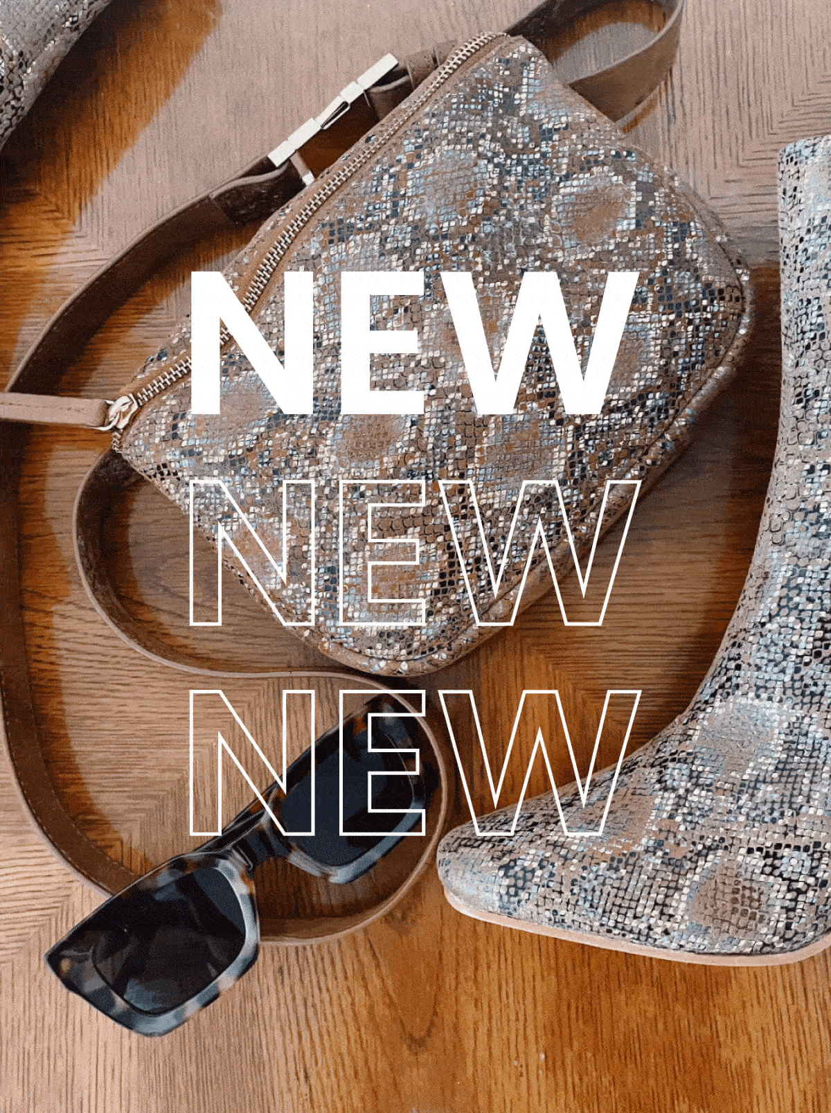 LL New.gif