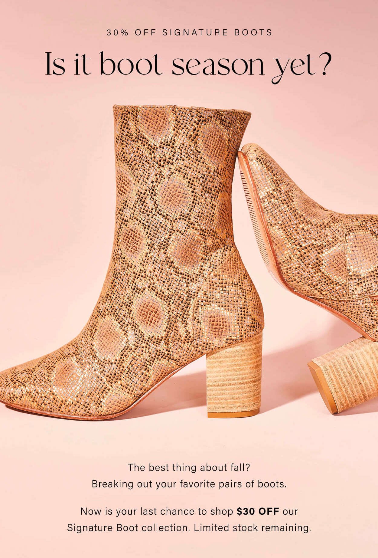 LL Boots.jpg