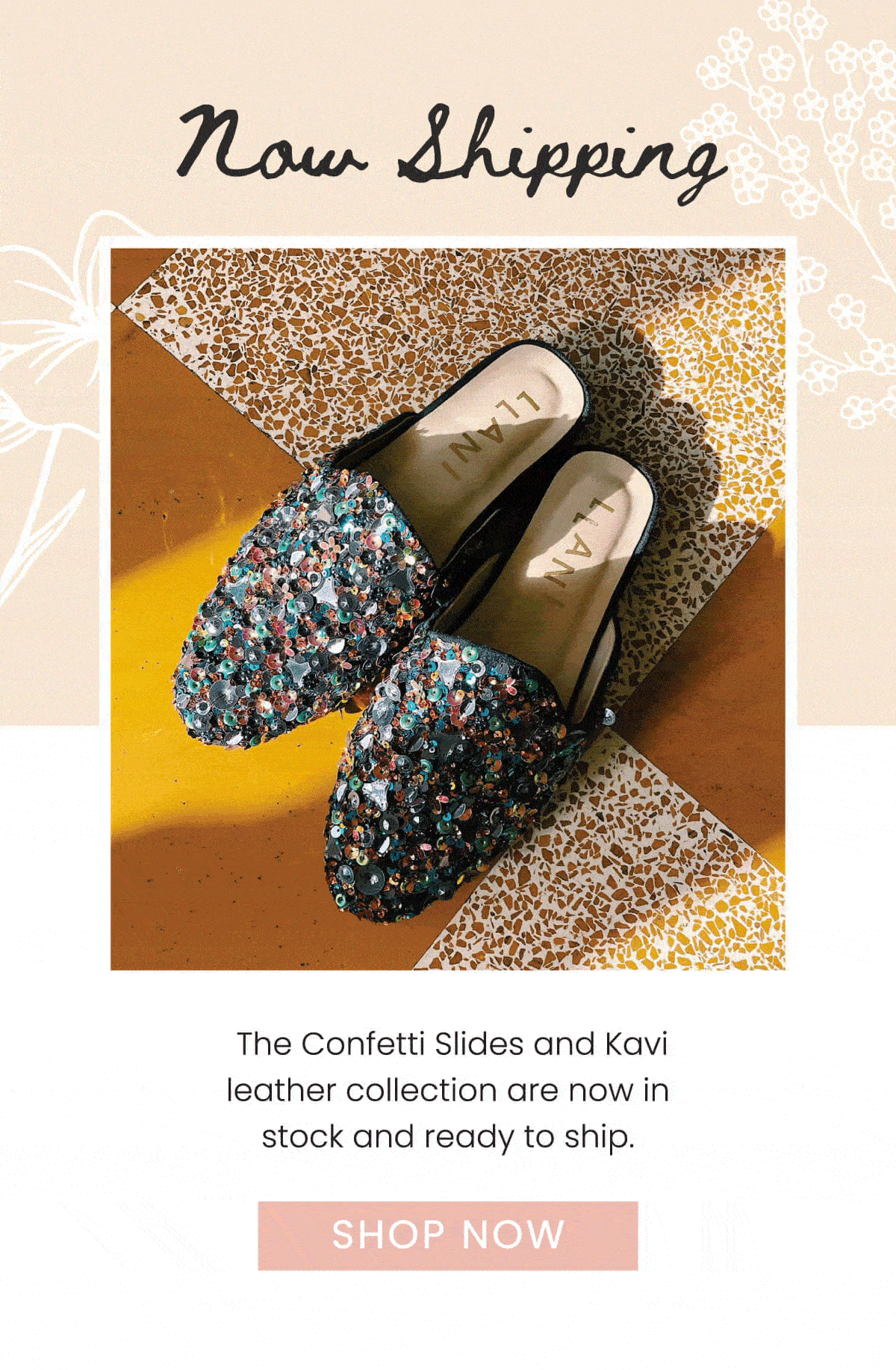 LL Confetti.gif