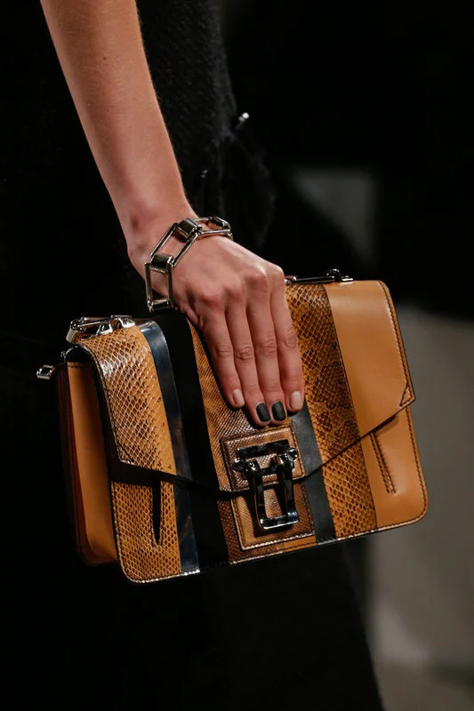 RUNWAY  PROENZA CLOSE UP .jpg