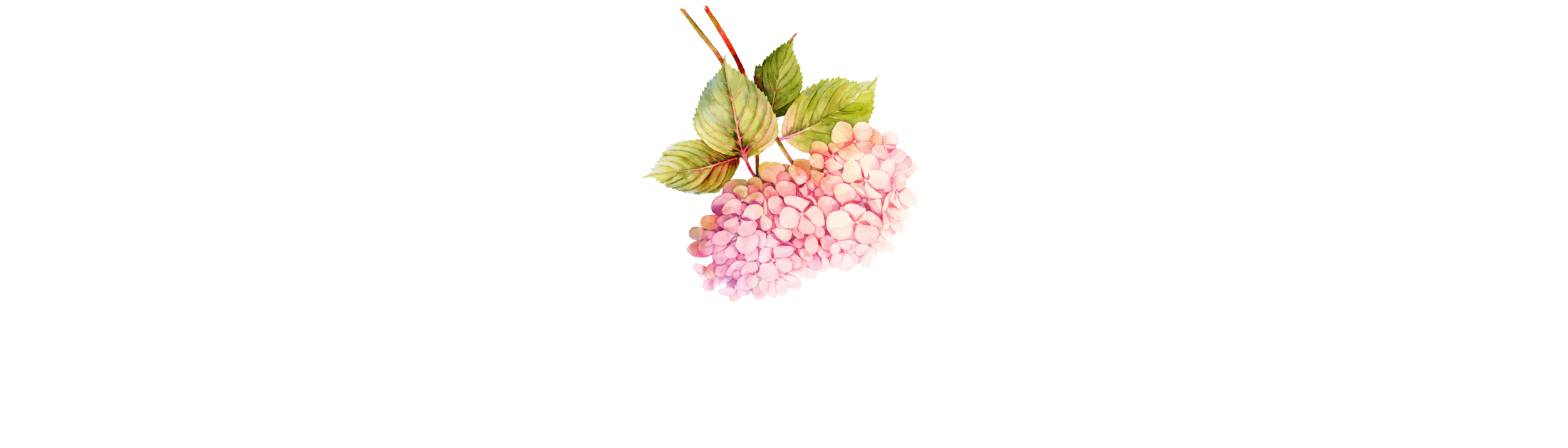 Slim Header 9.png