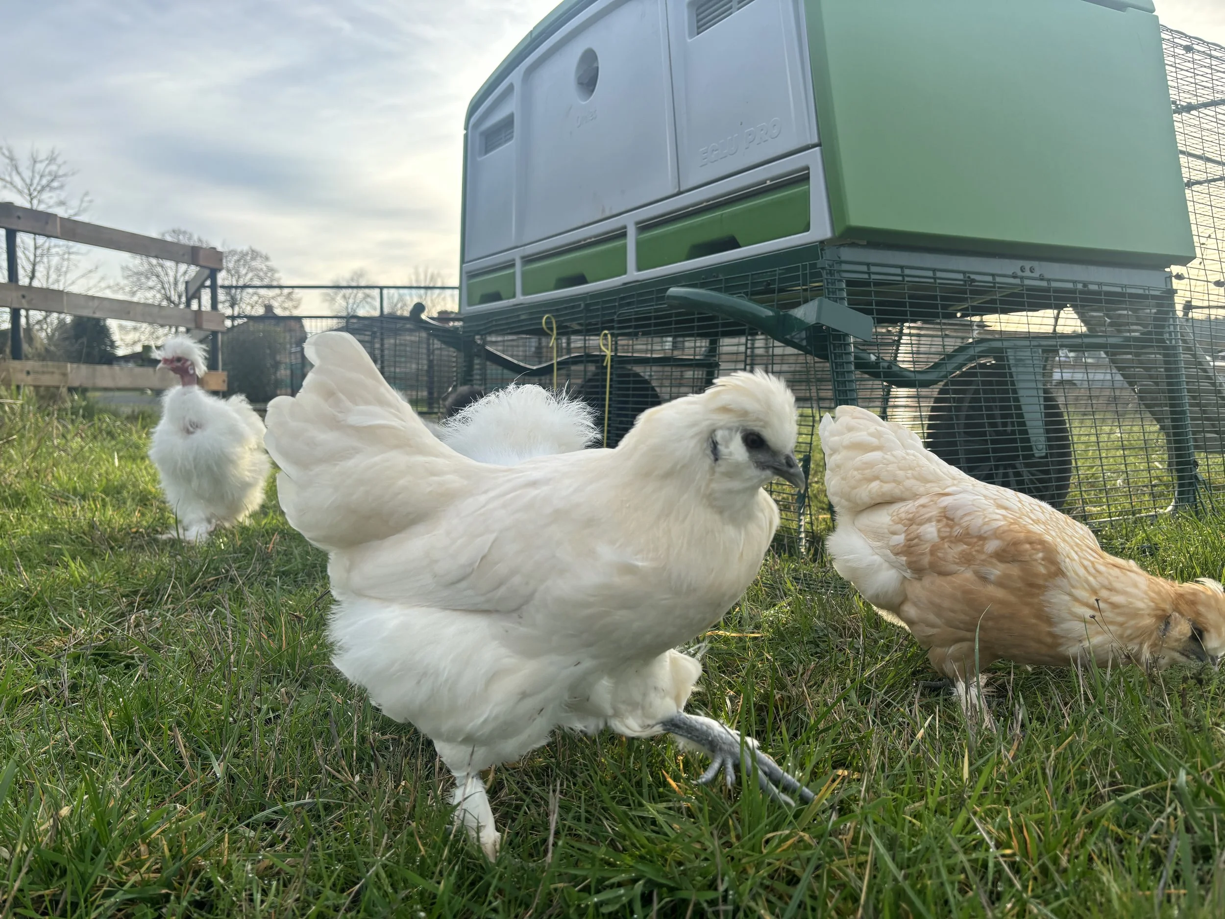 Small Steps Create Big Shifts 