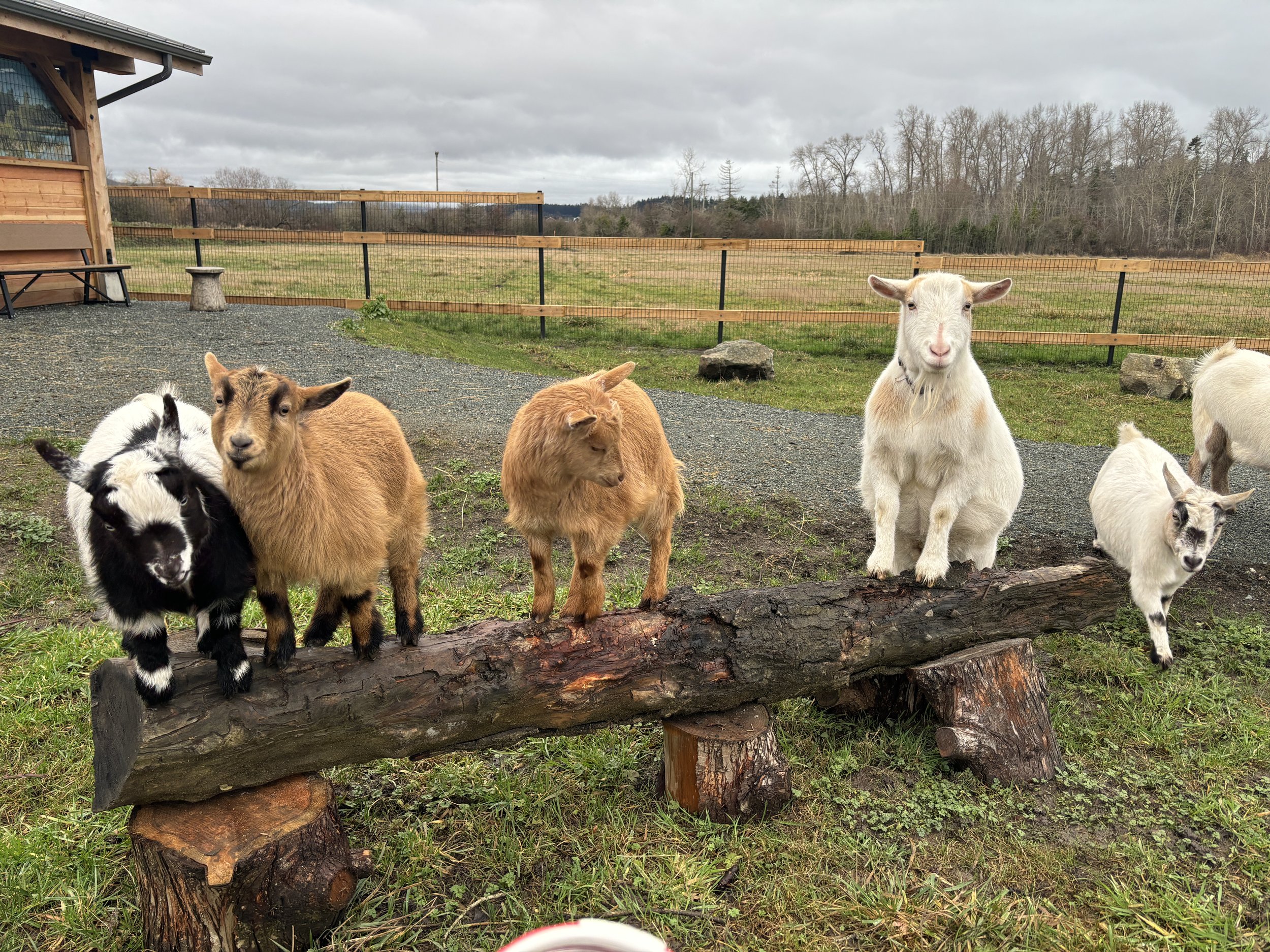 Small Steps Create Big Shifts  (Copy)