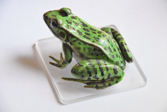 https://i.etsystatic.com/5827902/r/il/38a468/3164838664/il_570xN.3164838664_2gp9.jpg
