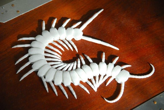 https://i.etsystatic.com/5827902/r/il/56f865/2850840258/il_570xN.2850840258_2tog.jpg