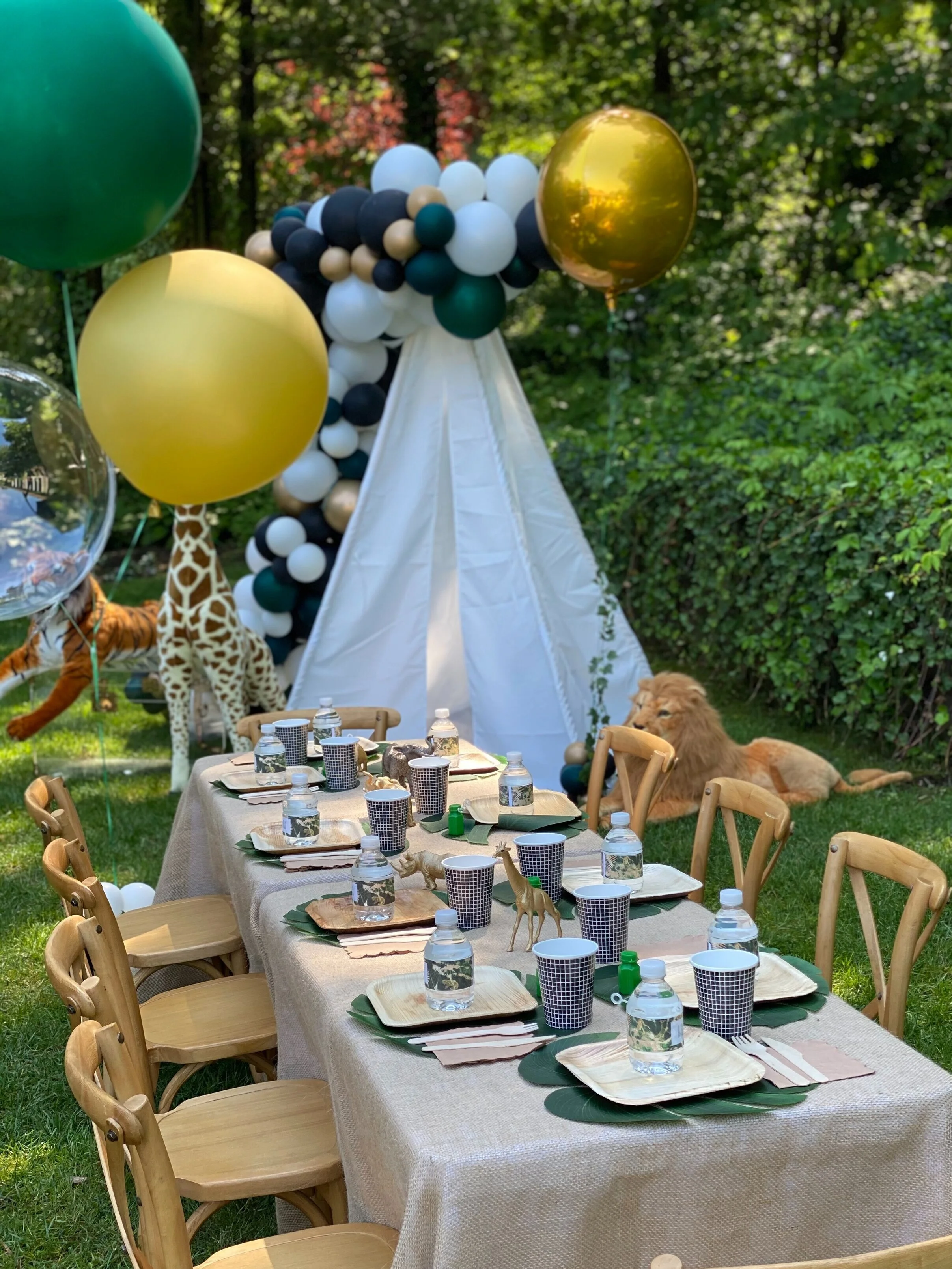 Childrens+Safari+Birthday+Simply+Shira+Parties.jpeg