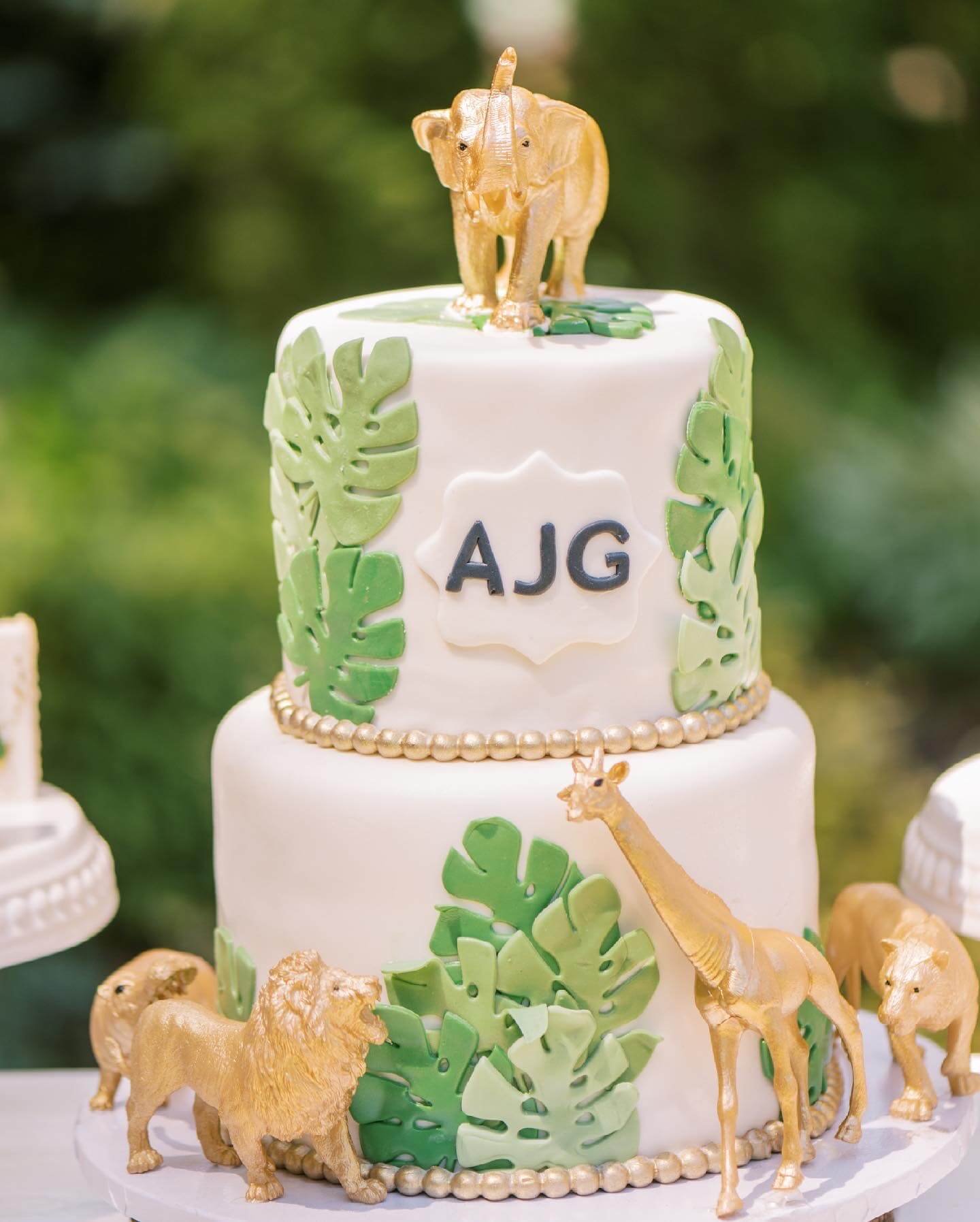 Safari Birthday Cake.jpg
