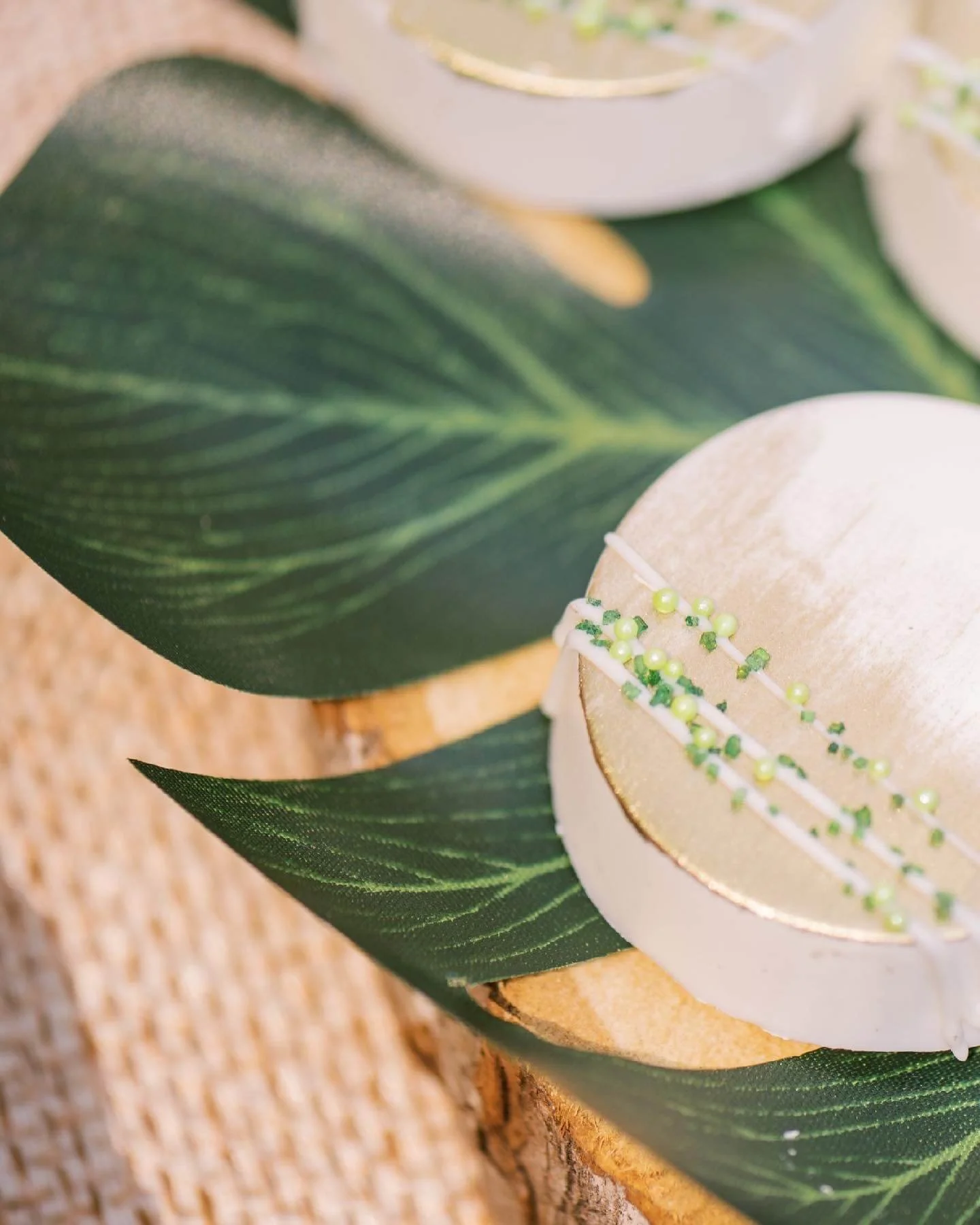 Safari chocolate covered Oreo_.jpg