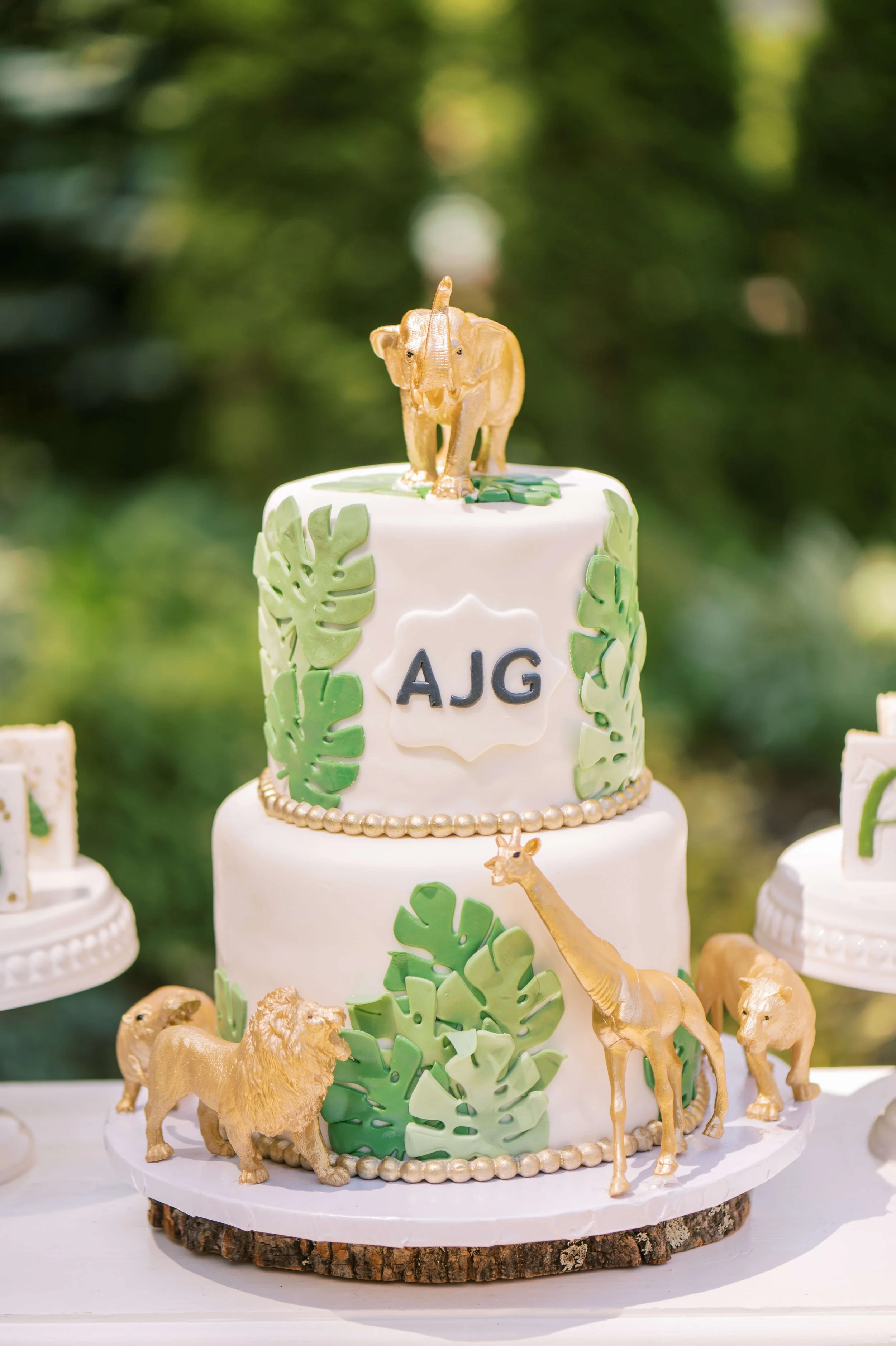 Safari Cake.jpg