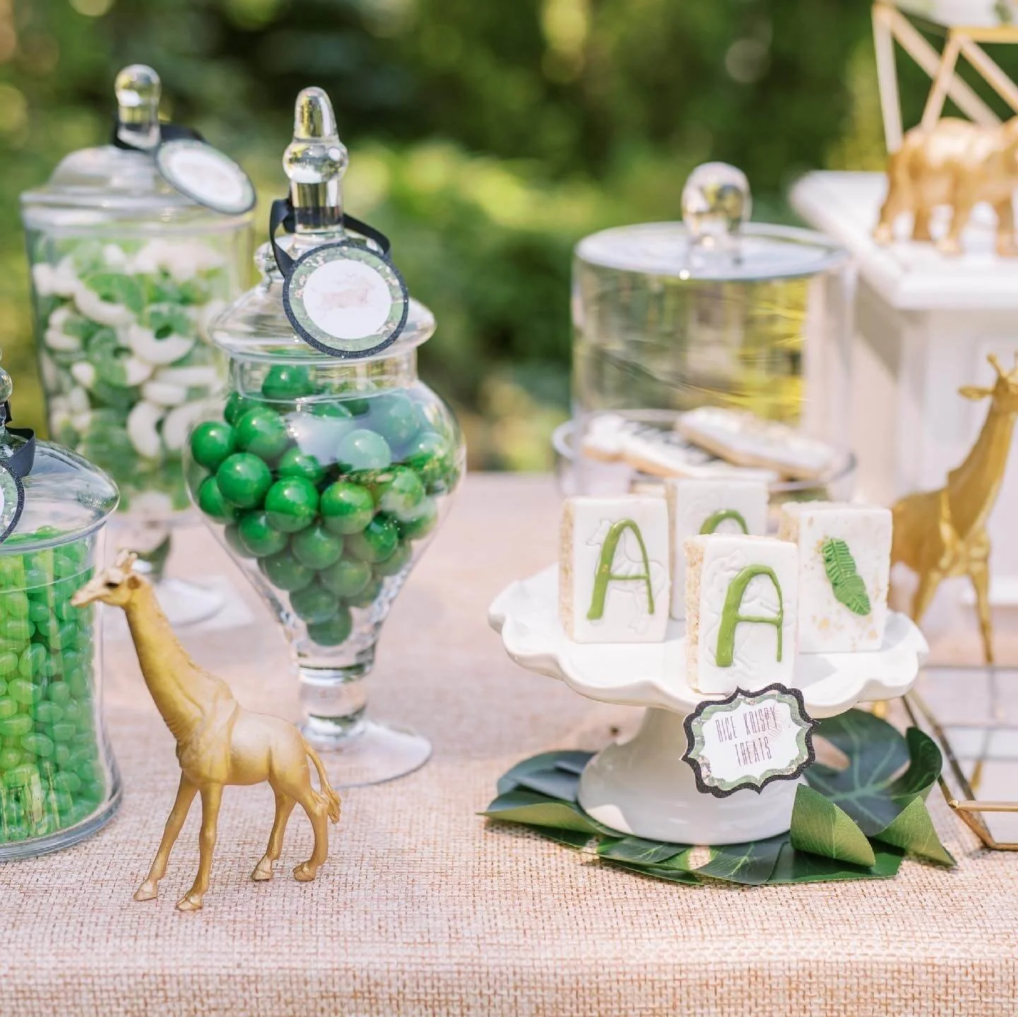 Safari dessert table_.jpg