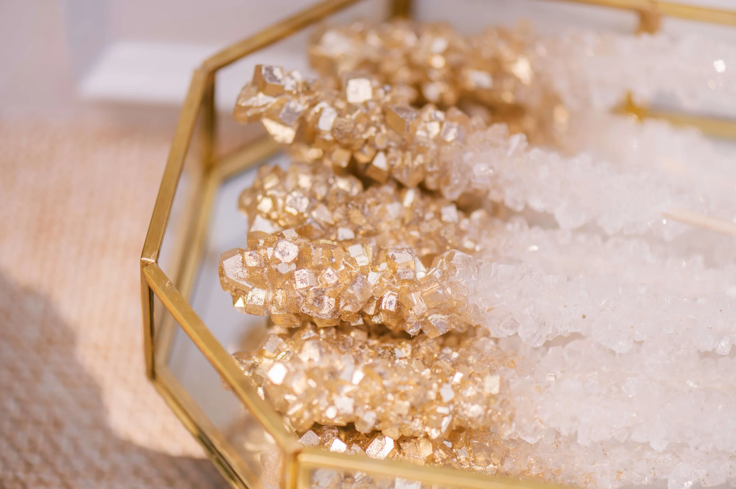 Safari rock Candy_.jpg