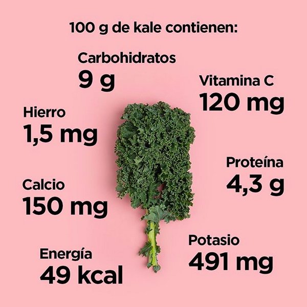 Información nutricional de 100 g de kale: 9 g de carbohidratos, 120 mg de vitamina C, 1,5 mg de hierro, 150 mg de calcio, 4,3 g de proteína, 49 kcal de energía, y 491 mg de potasio. Fondo rosa con hoja de kale al centro.