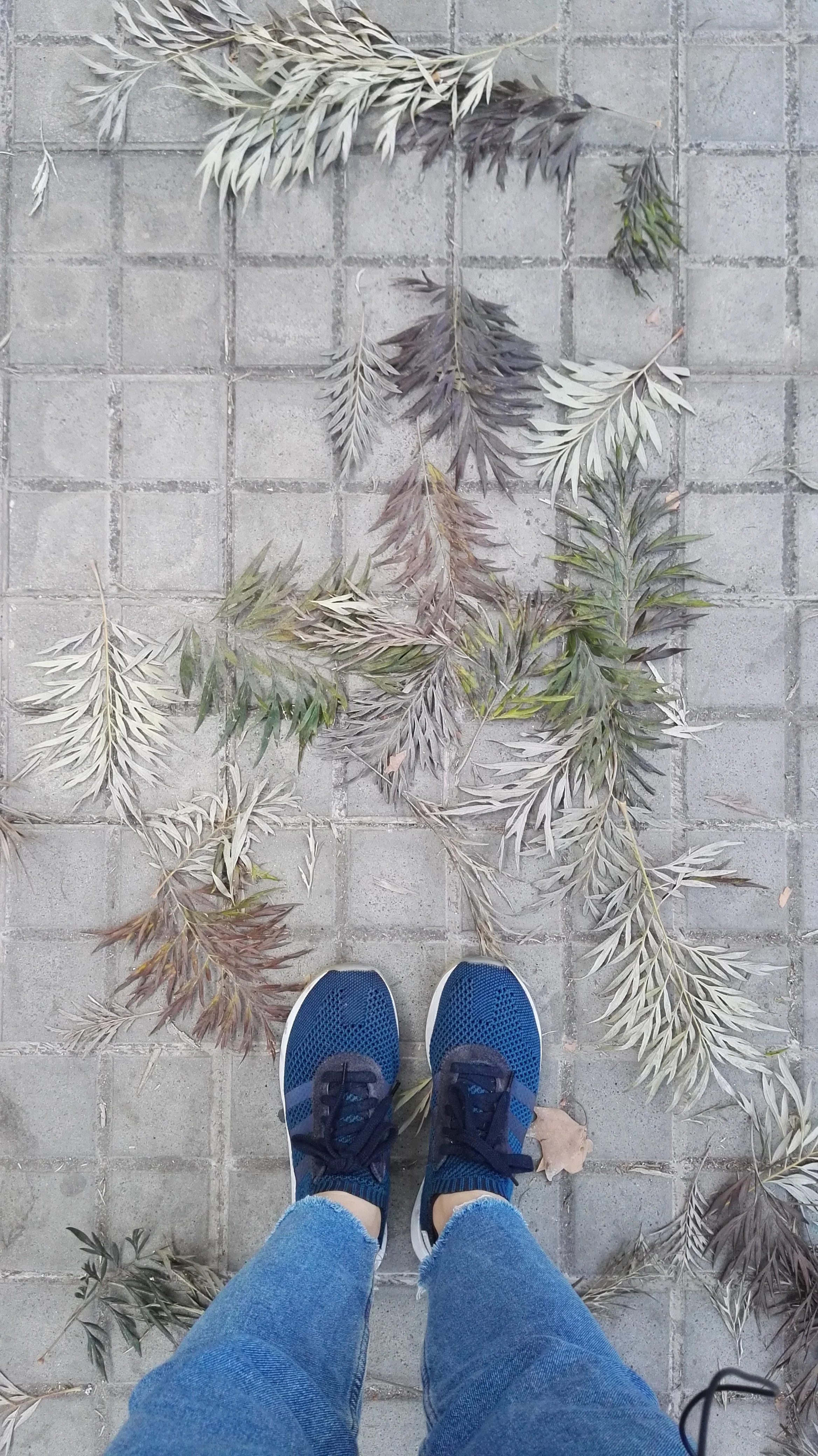 Zapatos deportivos azules sobre una acera de piedra, rodeado de hojas secas de color gris, verde y marrón.