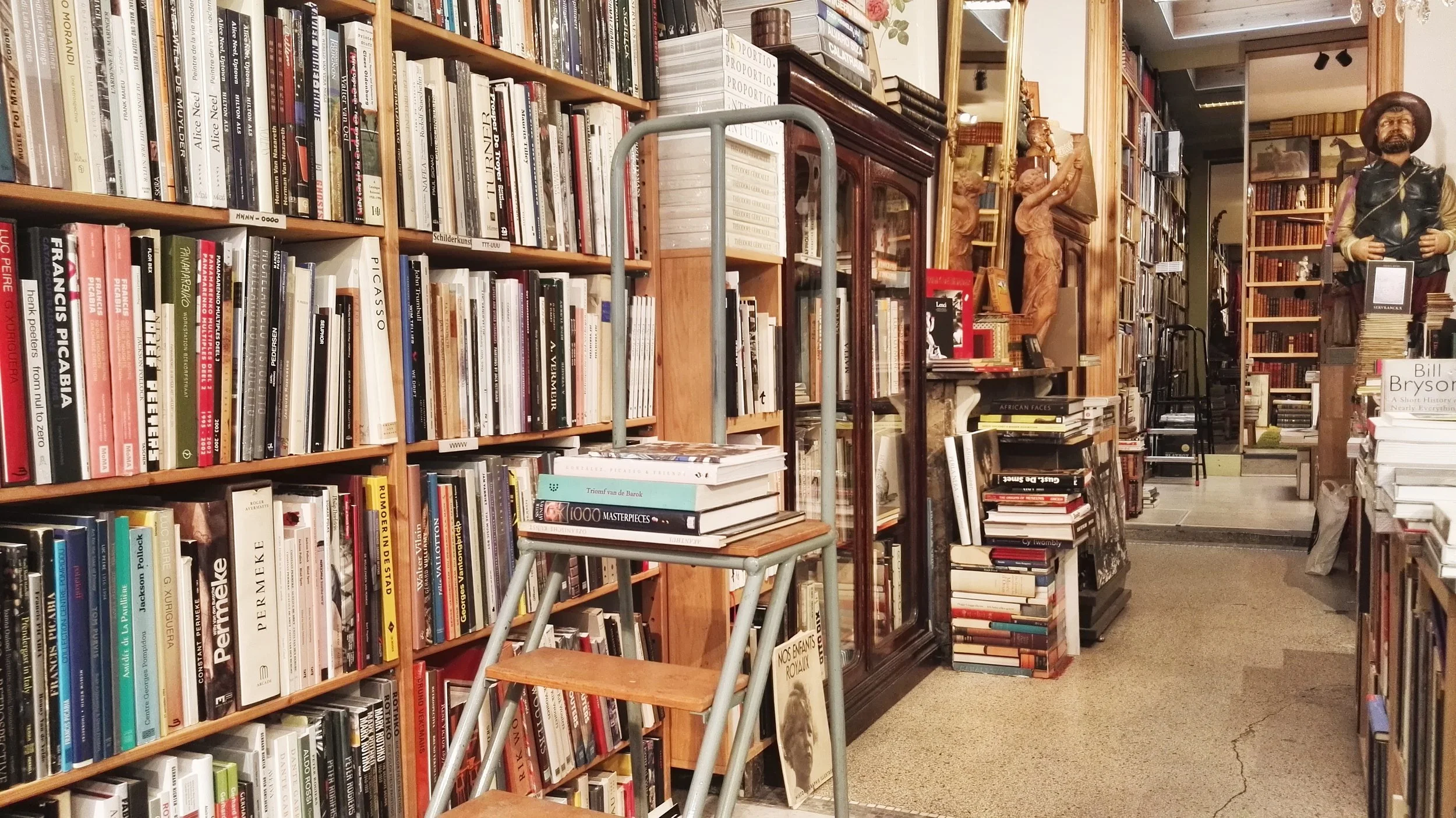 Interior de librería con estanterías llenas de libros y una escalera de mano en el centro.