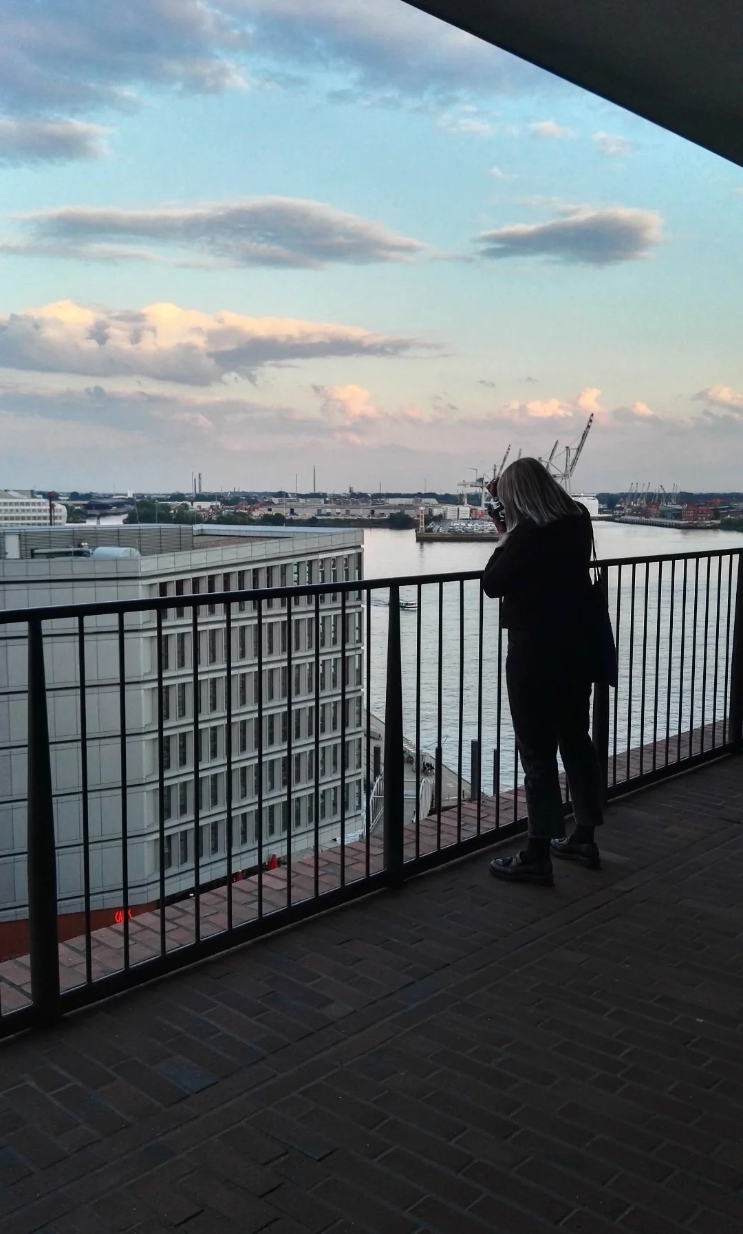 Mujer con cabello rubio y de ropa negra, de espaldas, en un balcón viendo un río y la ciudad con grúas y edificios