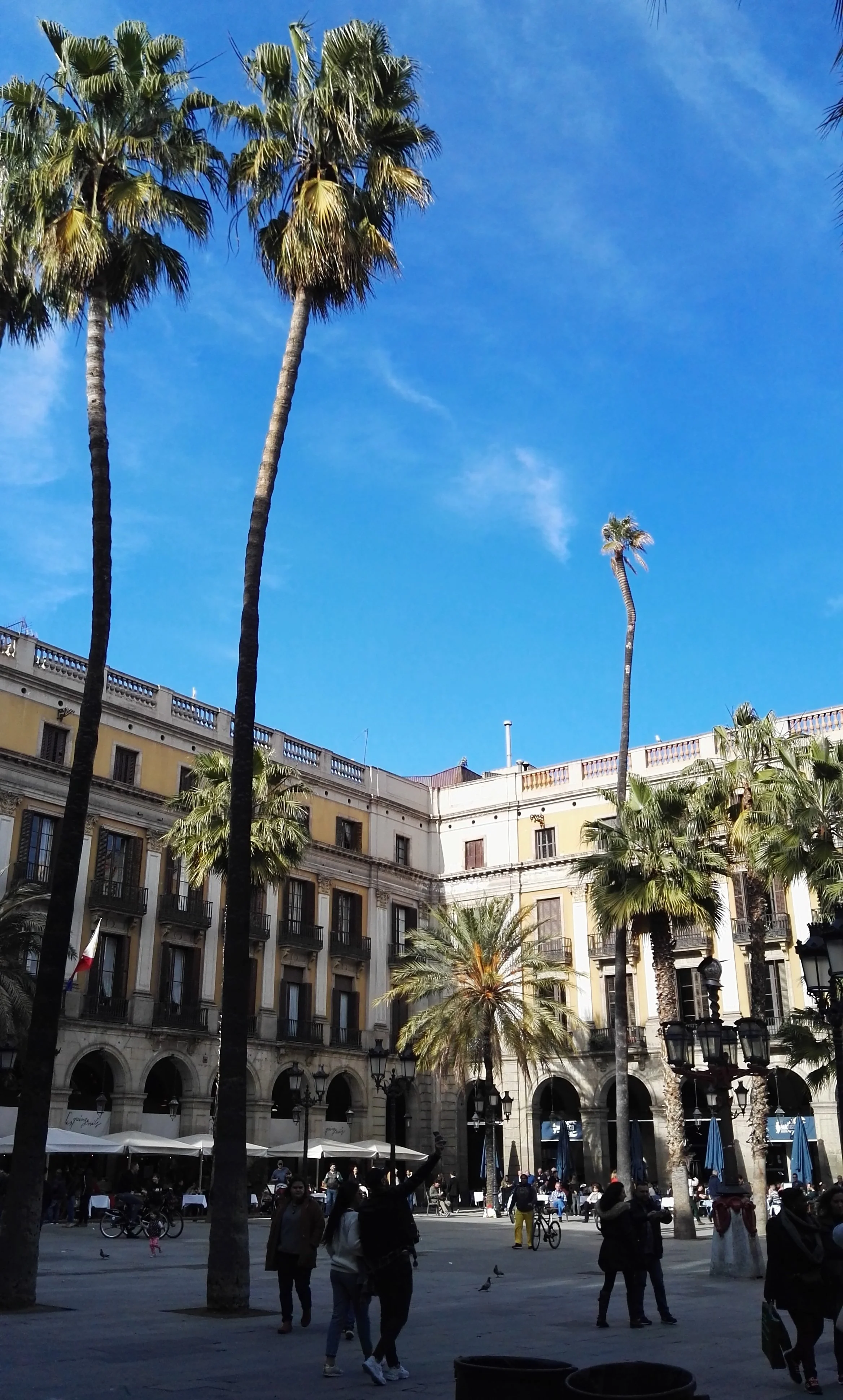 Plaza con palmeras altas, edificio colonial, personas caminando, mesas con sombrillas y cielo despejado. Plaça reial Barcelona.