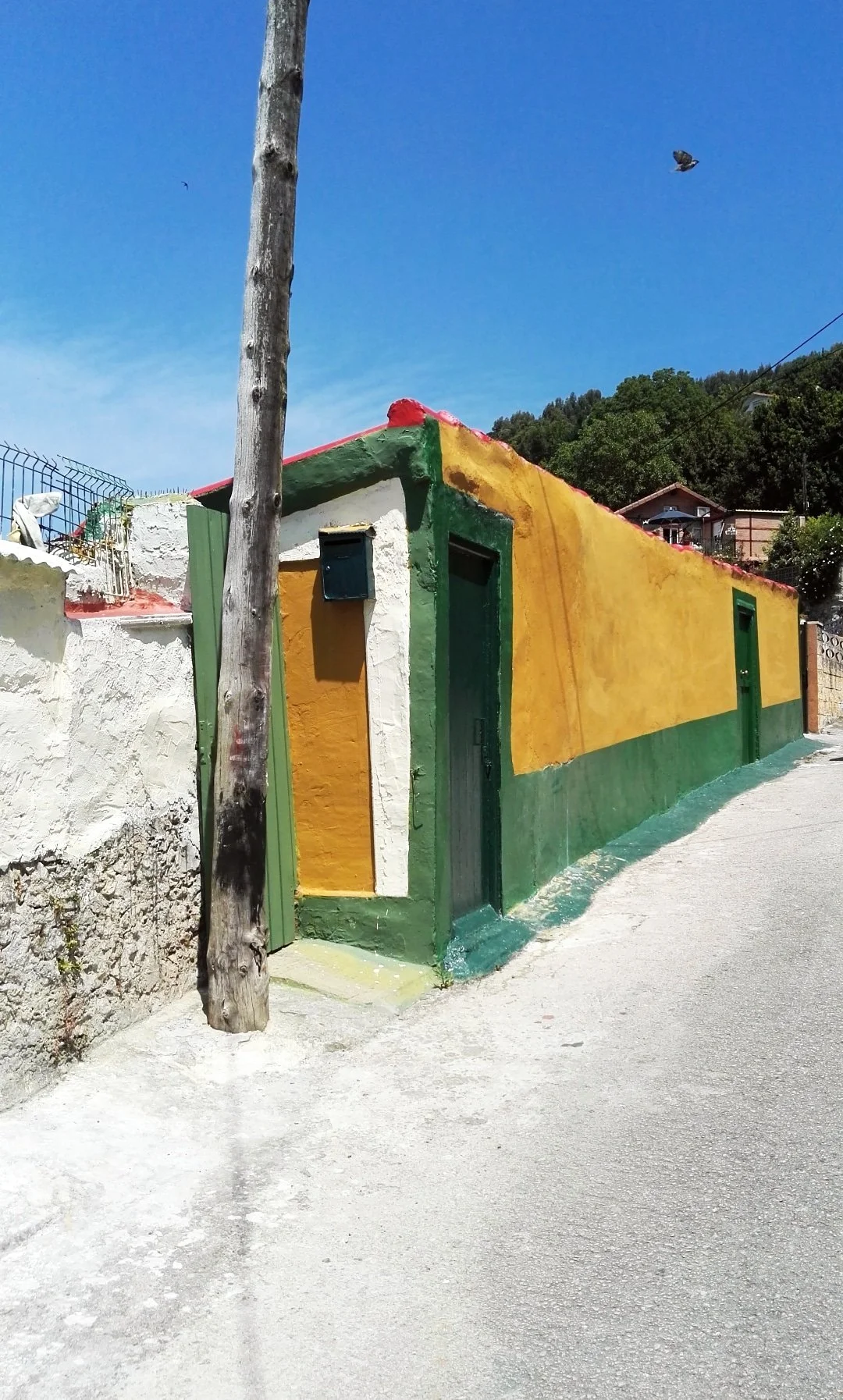 Casa con paredes pintadas de amarillo y verde, en una calle con suelo de cemento, bajo un cielo azul con algunas nubes. Un poste de madera y un pájaro en vuelo.