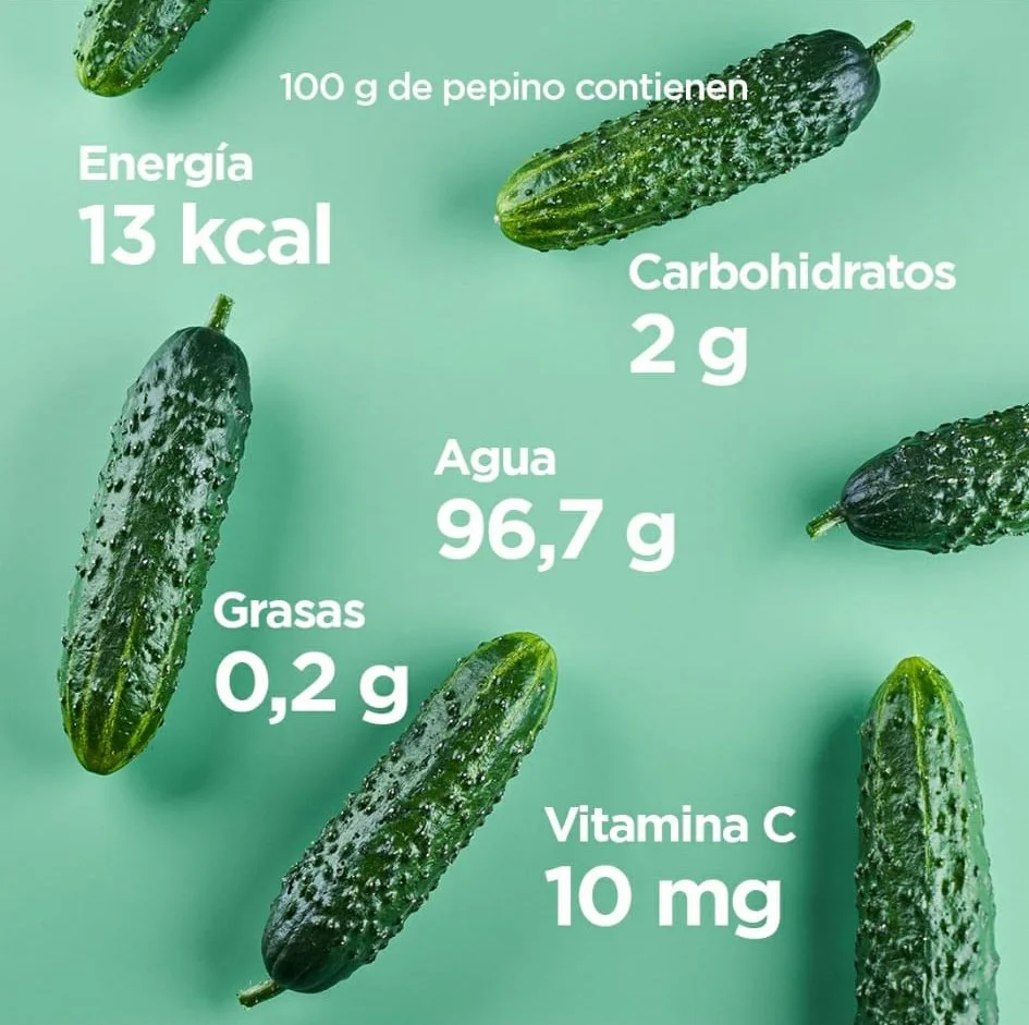 Imagen de varios pepinos sobre un fondo verde. Texto informativo muestra el contenido nutricional de 100 g de pepino: Energía 13 kcal, Agua 96,7 g, Carbohidratos 2 g, Grasas 0,2 g, Vitamina C 10 mg.
