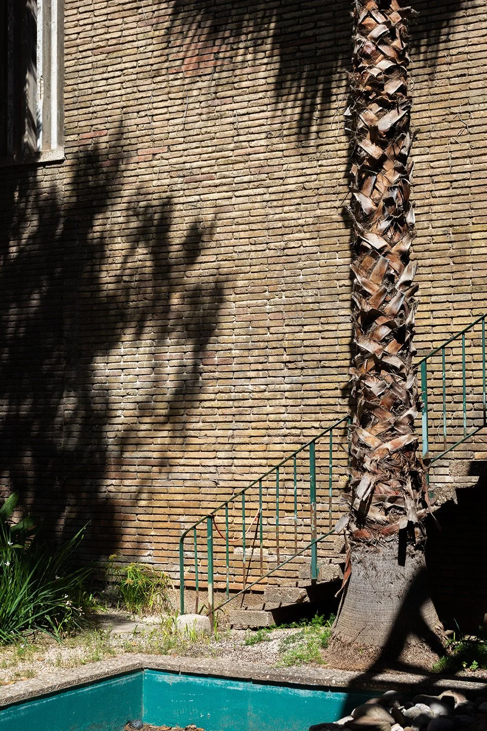 Muro de ladrillos con sombra de árbol, palmera y escaleras con barandal junto a una piscina pequeña de azulejos azules, plantas verdes y piedras en un patio exterior.