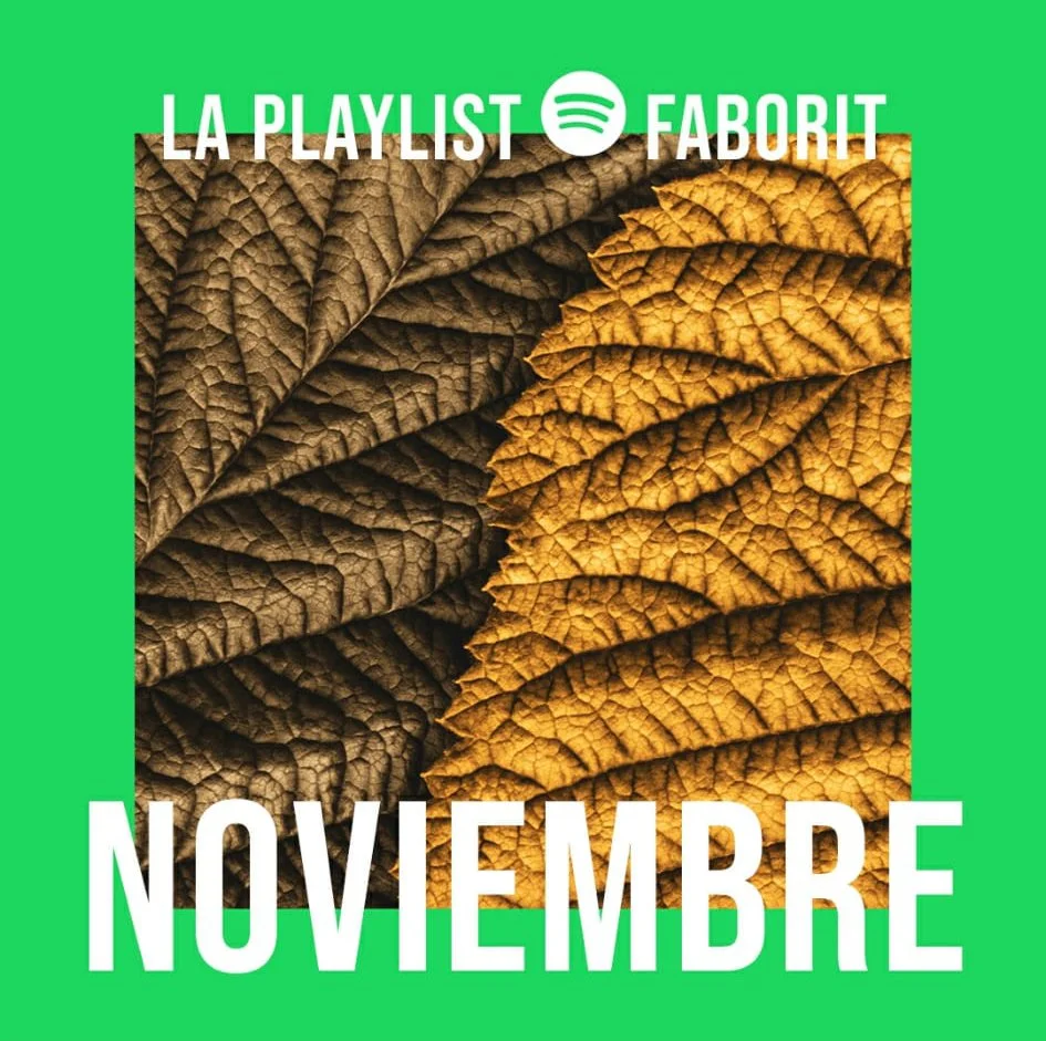 Portada de Spotify con hojas marrones y amarillas sobre fondo verde y texto "La Playlist Favorita, Noviembre". Diseño redes sociales. Design for social media. Agosto Creative Studio, Barcelona. Diseño gráfico Barcelona. Estudio de diseño Barcelona.