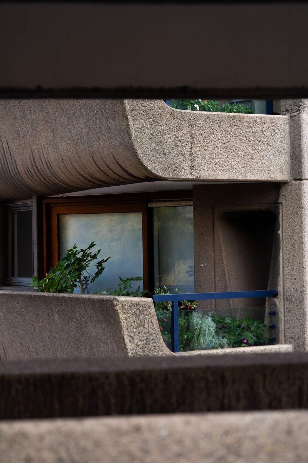 Vista de un balcón con paredes de concreto, una ventana con marco de madera, plantas y una barandilla azul.