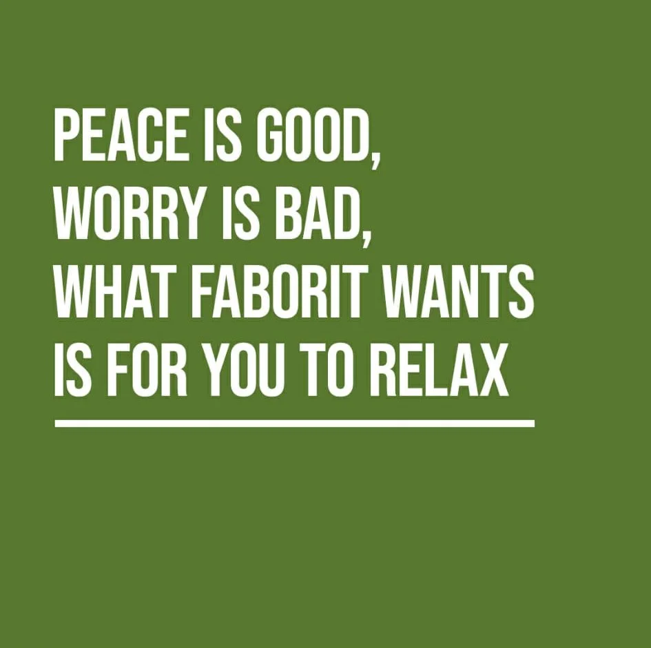 Fondo verde con texto blanco que dice: "Peace is good, worry is bad, what Faborit wants is for you to relax".