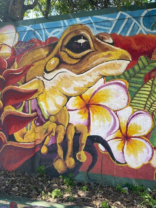 Vieques 1.jpg