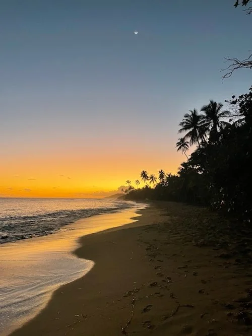 Vieques 2.jpg
