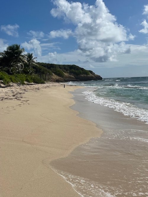 Vieques 3.jpg