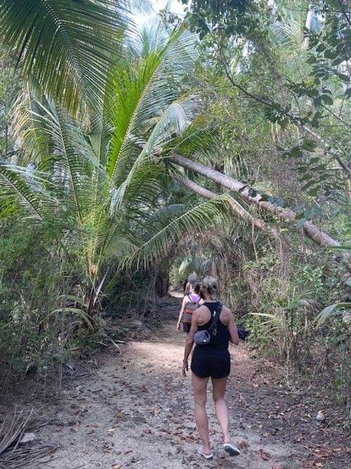 Vieques 8.jpg