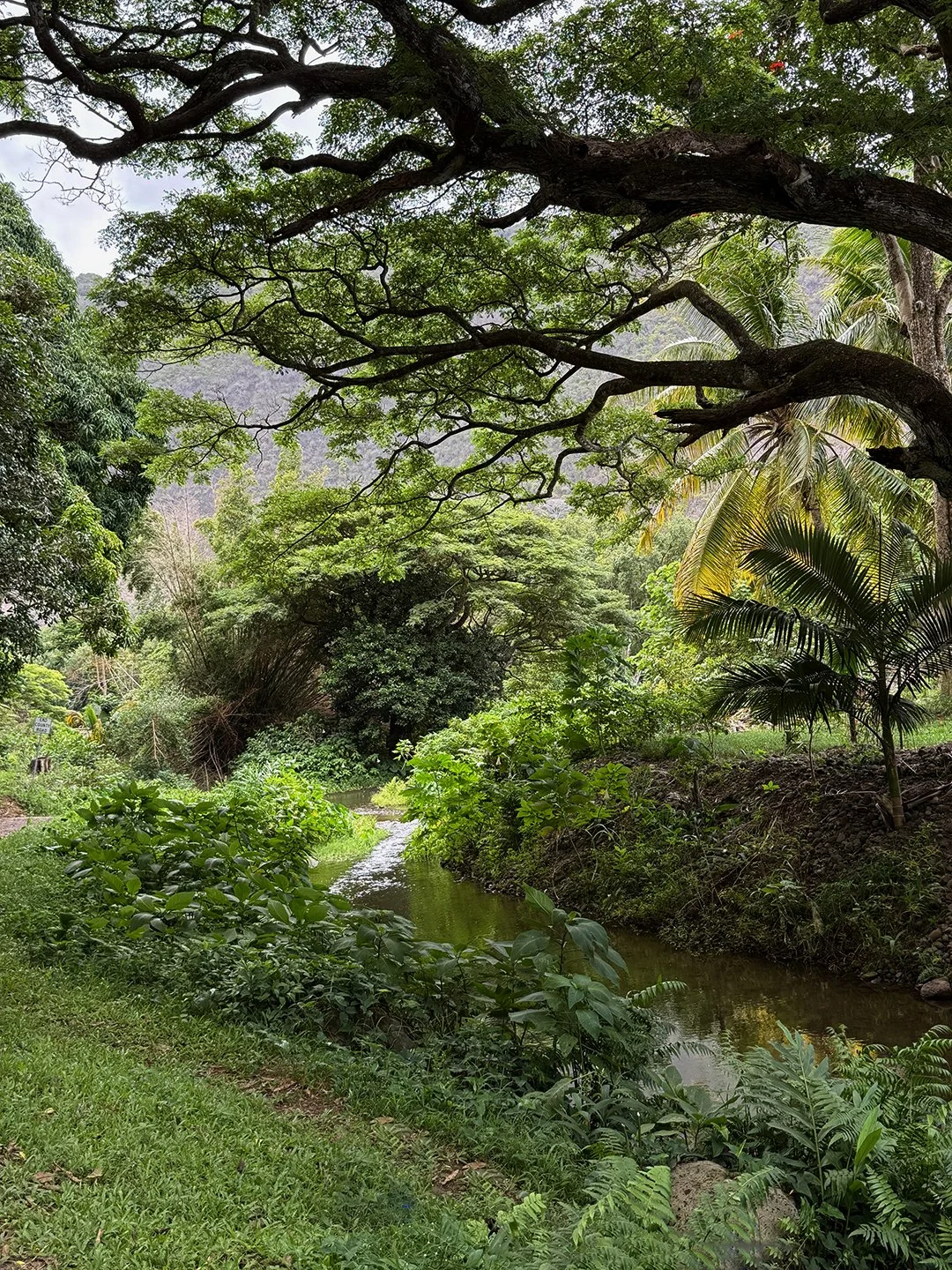 Waipi'o Valley, Hawai'i 2025