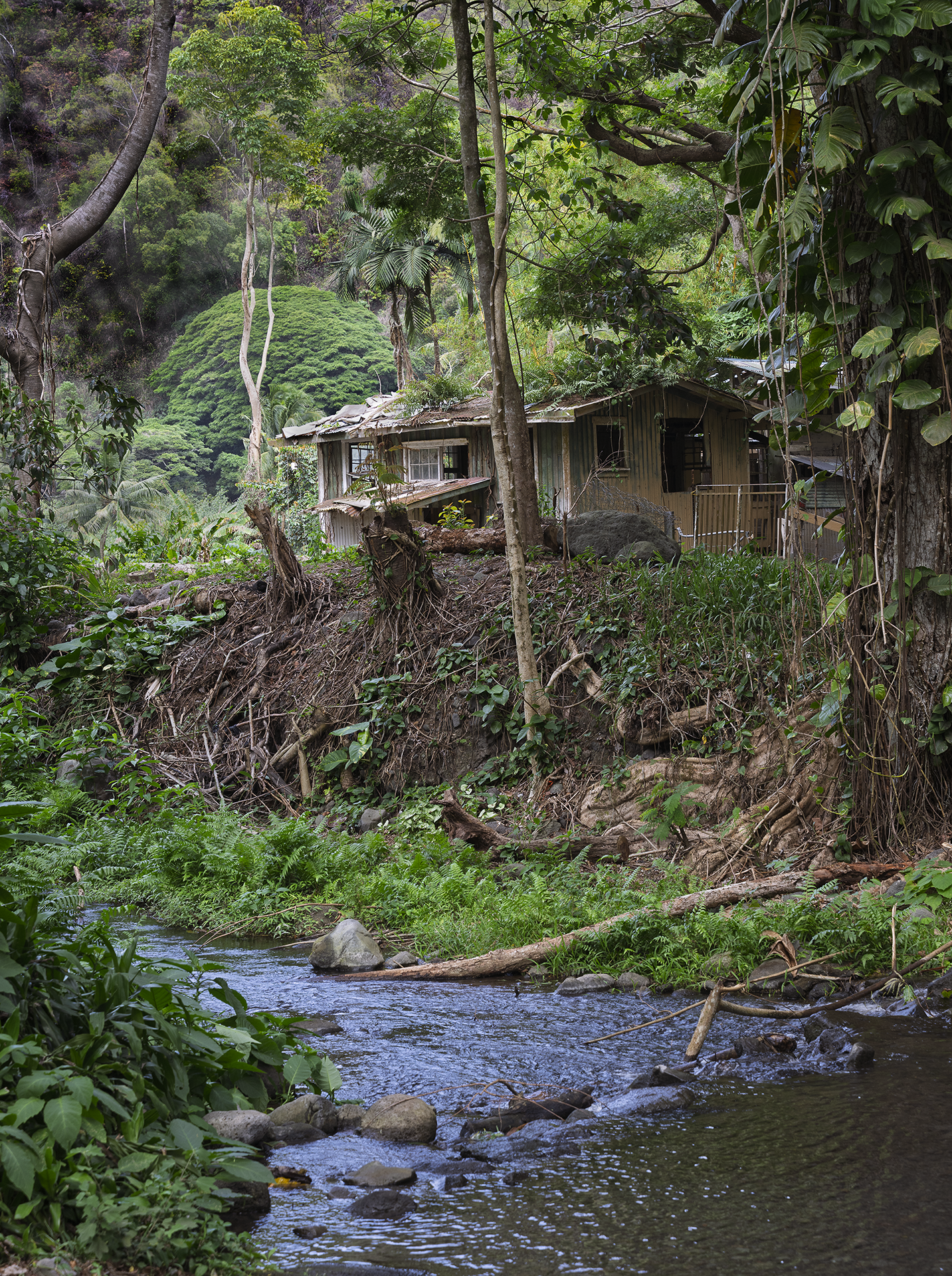 Waipi'o Valley, Hawai'i 2025