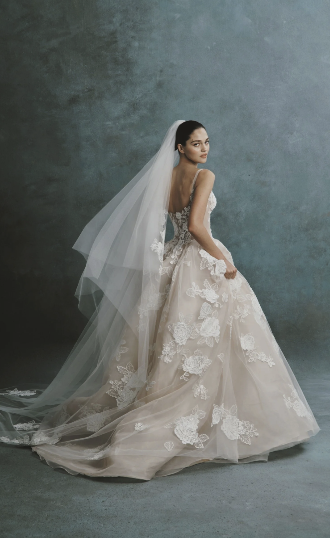 Screenshot 2026-04-29 at 12.17.59 PM.png