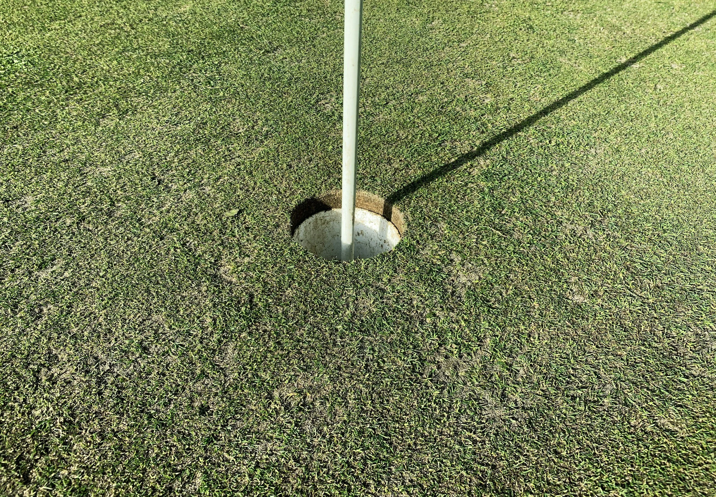 The Ryder Cup