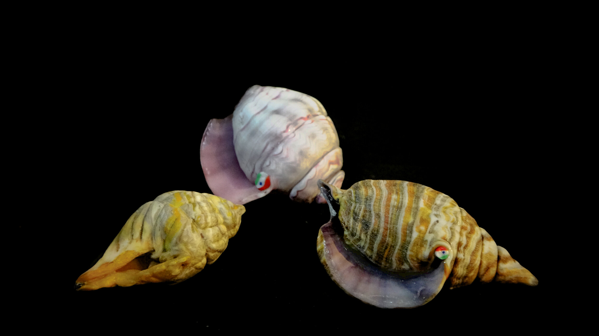 sea-shells.jpg
