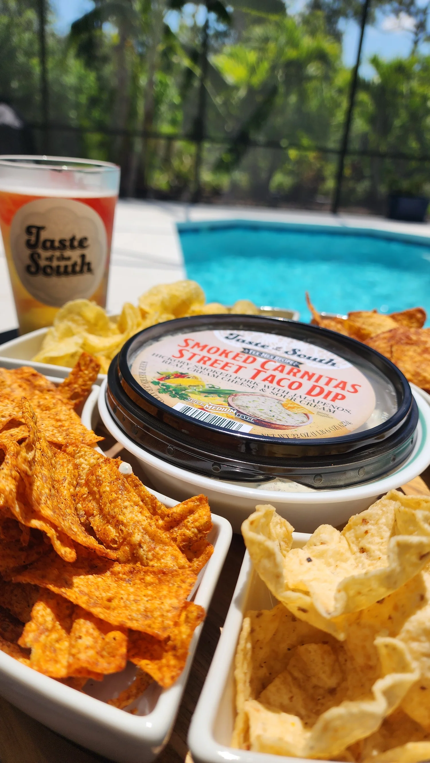 Carnitas Street Taco Dip — Taste of the South Dips