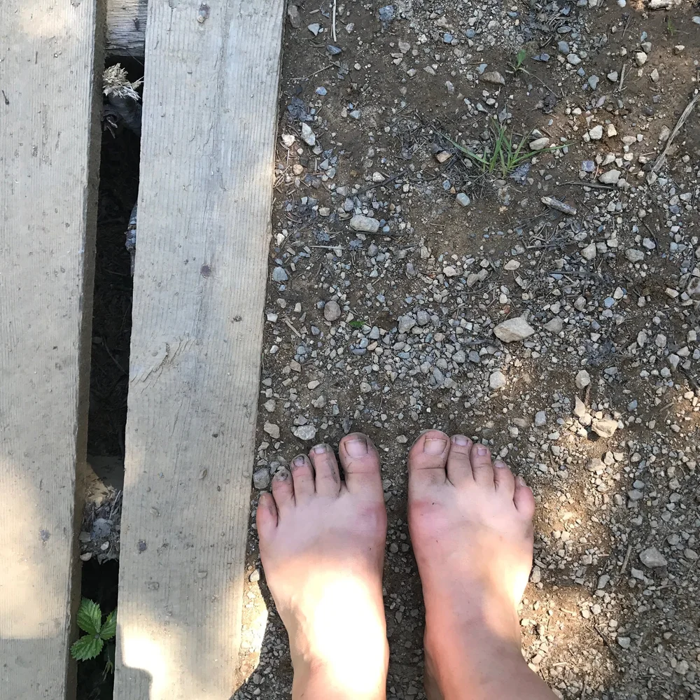 IMG_1731.jpeg