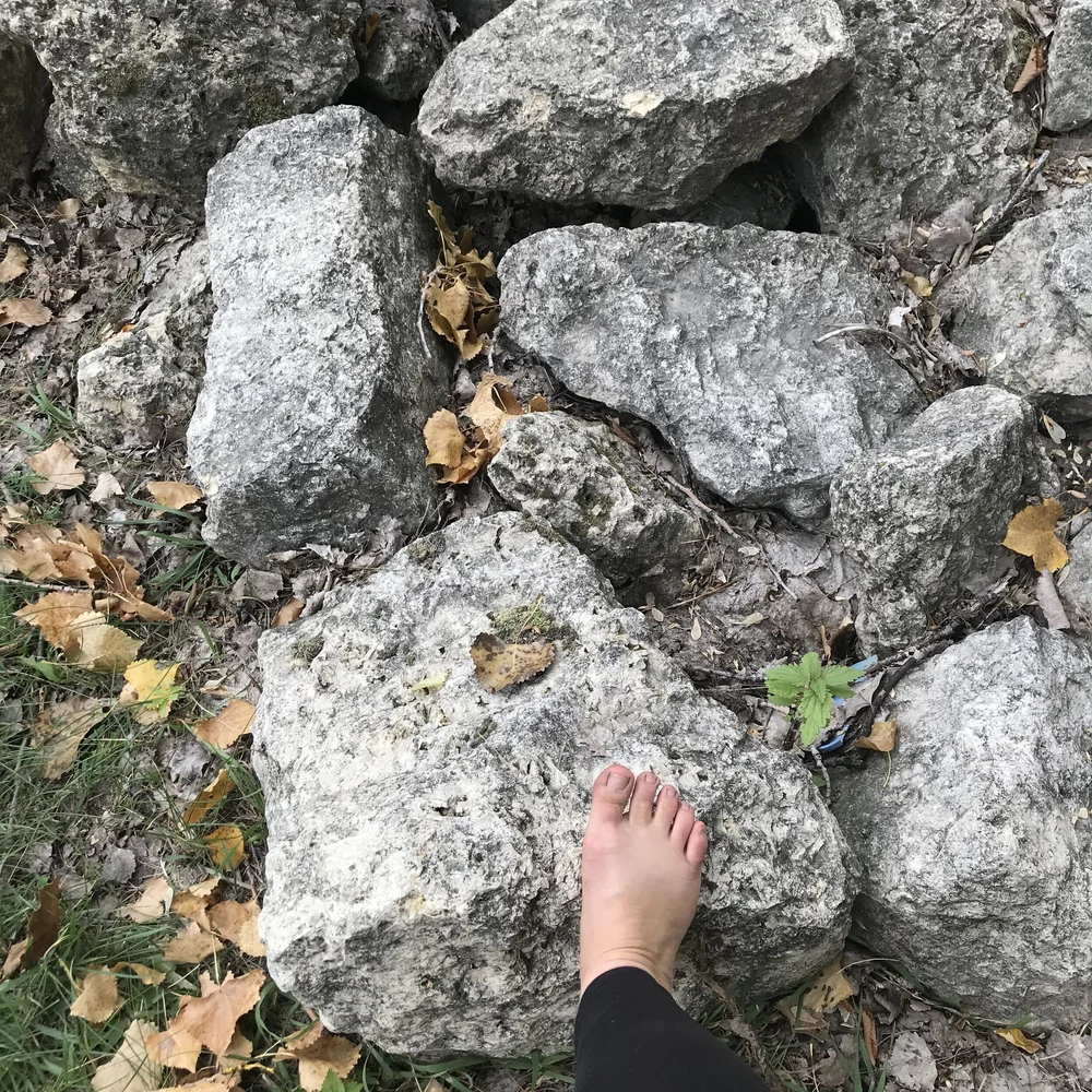 IMG_2099.jpeg