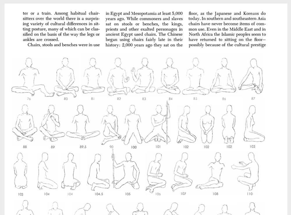 AnthropoloyOfPosturePrintscreen.png