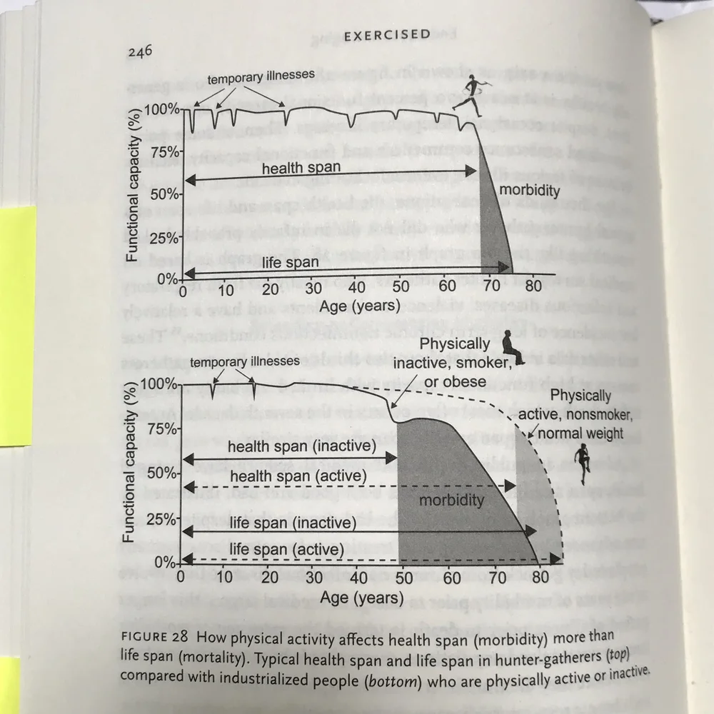 exercised-graph.jpg