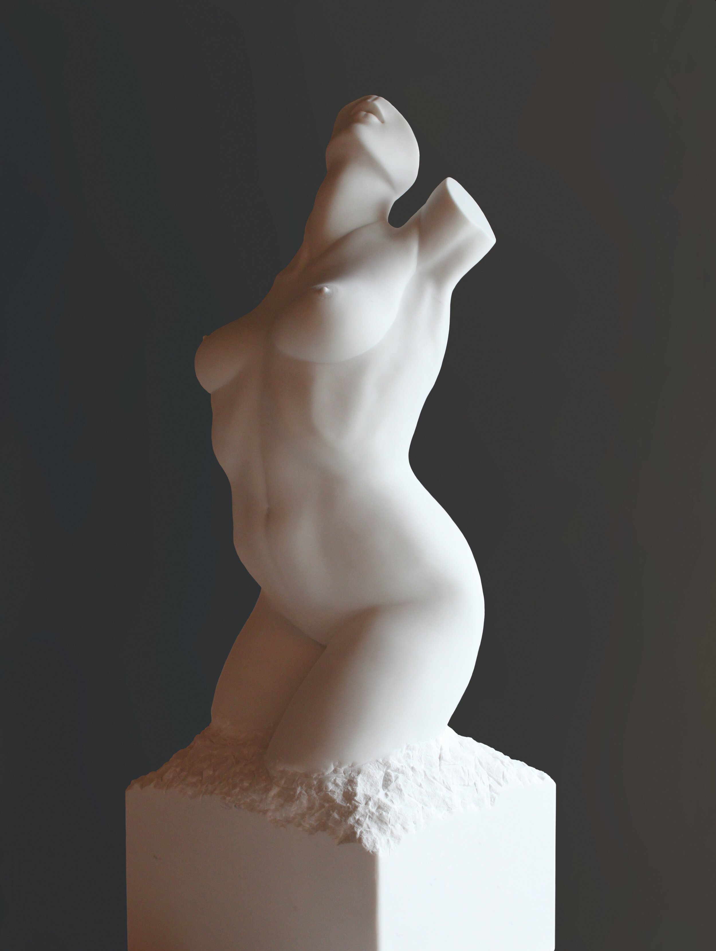 Full Torso Crop.jpg