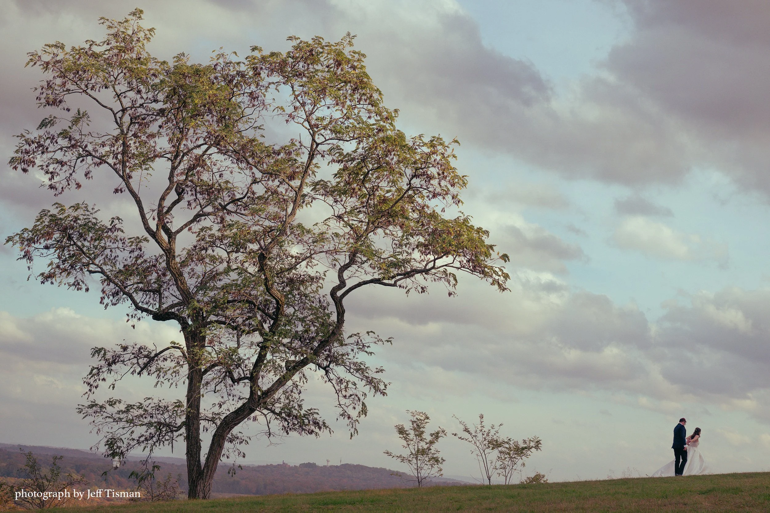 bride and groom walk along the hillside under the shade of giant tree