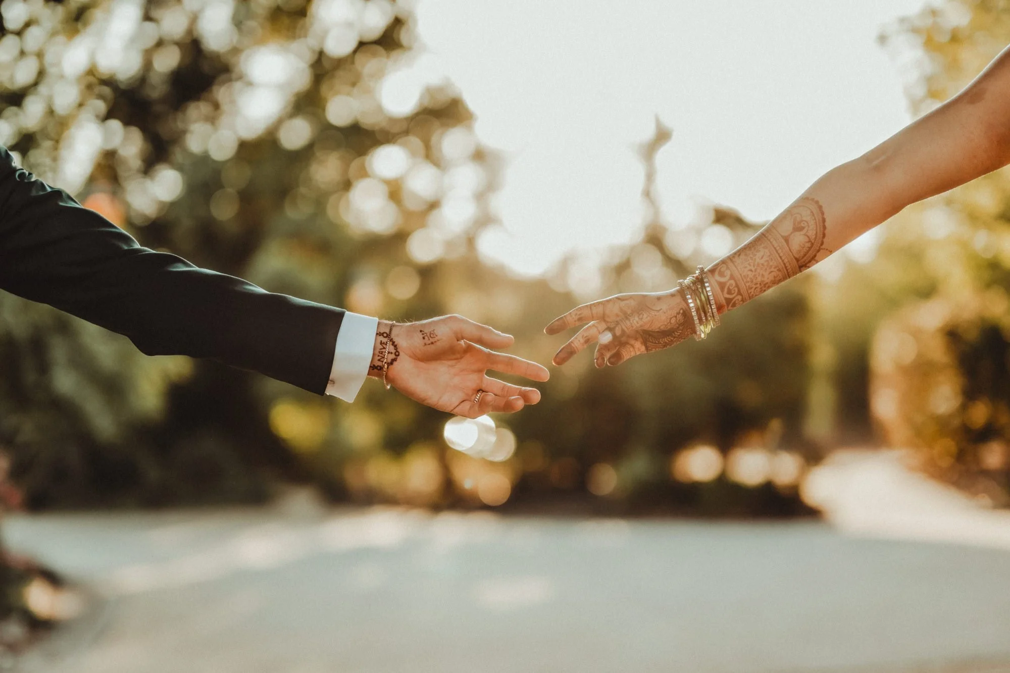 TZ9_5464-Edit copy.jpg