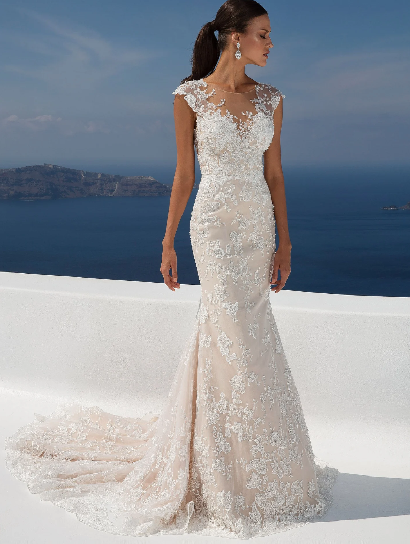 Screen Shot 2025-12-19 at 7.54.22 PM.png